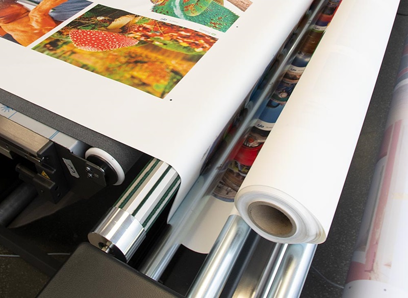 Motorized Roll Feeder: perfect feed